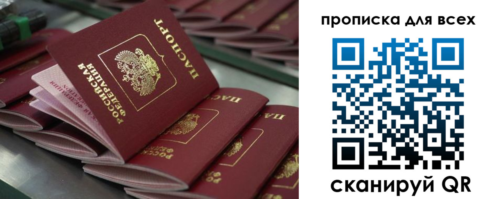 найти адрес прописки в Краснозаводске